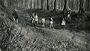 choisies_par_danielle_c.36