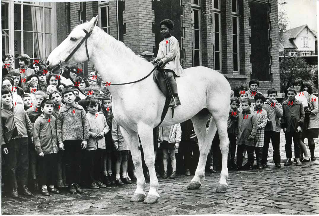 Le cheval blanc au milieu de 35 enfants