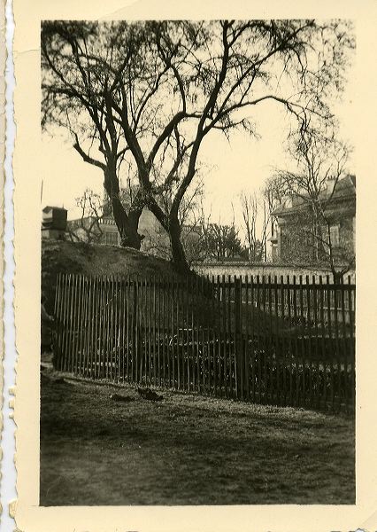 La butte de la rue Croix-Bosset vers 1950