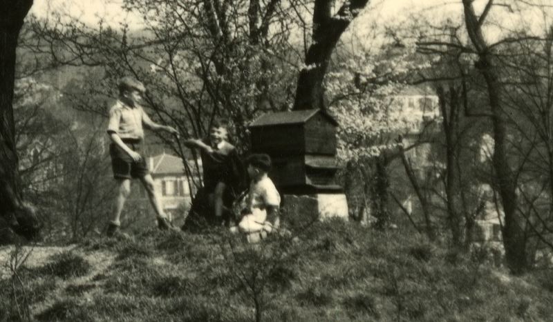 Le rucher sur la butte